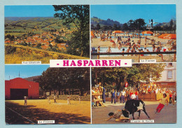 HASPARREN - Vue Générale - La Piscine - Le Fronton - Course De Vache - Multivues - Hasparren