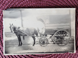 Carte Photo Attelage De Cheval - Verkopers