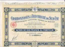 ACTION CHARBONNAGES ET ELECTRICITE DU SUD EST De 100 FRANCS - Mines