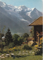 CHALET SAVOYARD ET MASSIF DU MONT BLANC (2015) - Chamonix-Mont-Blanc