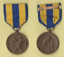 America Veterans Expedition Navy USA Medal Naval Expeditionary Medal 2° WW USA - Stati Uniti