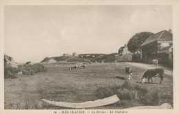 Iles JERSEY - La Ferme - La Crabière  - TB - Andere & Zonder Classificatie