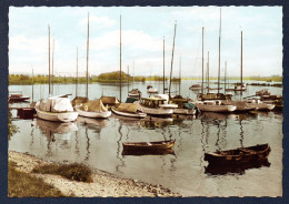 Allemagne. Niederwalluf Am Rhein. ( Walluf). Barques Et Voiliers Sur Les Rives Du Rhin. - Wiesbaden