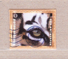 2013 Nr 4346 Gestempeld Op Fragment,zegel Uit Boekje B140.ZOO Antwerpen / ZOO Anvers. - Used Stamps