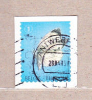 2012 Nr 4255 Gestempeld Op Fragment.Vlinder / Papillon. - Used Stamps