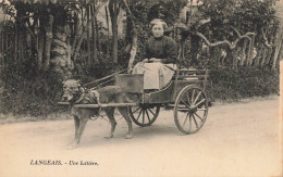 Langeais * Une Laitière * Attelage à Chien Voiture à Chiens * Milk Lait Pots Métier Ancien - Langeais