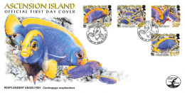 ASCENSION - FDC WWF 2007 - ANGELFISH / 4283 - Ascension (Ile De L')