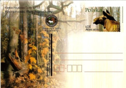Cp 1287 Poland Kampinoski National Park 2002 Alces Alces L. Elk Moose - Animalez De Caza