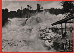 NEUHAUSEN Rheinfall Mit Fischetz - Neuhausen Am Rheinfall