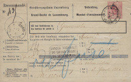 Luxembourg - Luxemburg  -  Mandat D'Encaissement   -  1881  Au Bureau De La Poste Grevenmacher - Lussemburgo