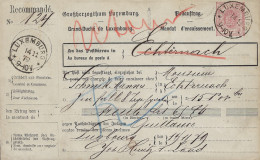 Luxembourg - Luxemburg  -  Mandat D'Encaissemnet    -  1879  Au Bureau De La Poste Echternach - Luxembourg
