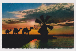 ADEN Yemen, Salt Works Khormaksar, Camels, Windmill, View Vintage Photo Postcard RPPc (67214) - Jemen
