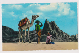 ADEN Yemen, Desert Mountains, Camel, View Vintage Photo Postcard RPPc (67255) - Jemen