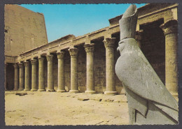127349/ EDFU, Temple Of Horus, Forecourt - Edfou