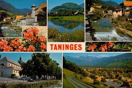 TANINGES       ( HAUTE- SAVOIE )    MULTI-VUES 2 - Taninges