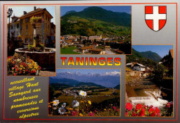 TANINGES       ( HAUTE- SAVOIE )    MULTI-VUES - Taninges