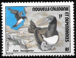 Nouvelle Calédonie 1976 - Yvert N° 398 - Michel N° 573  ** - Unused Stamps
