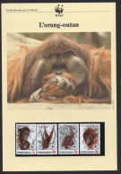 1989 Document WWF Français «L'orang-outan» 6 Pages Texte Et Photos  Sc 1380-3 - Indonésie