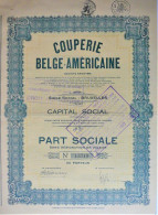 Couperie Belge-Américaine - Part Sociale - Textiel