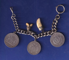 Sehr Schöne CHARIVARI, Daran SELTENE Alte Silbermünzen Sowie Zähne - Other & Unclassified