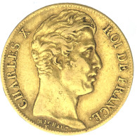 Charles X-20 Francs 1828 Lille - 20 Francs (goud)