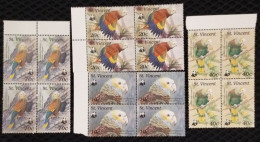 (WWF-081) Blocks 4 Of W.W.F. Saint Vincent MNH Parrot / Bird Stamps 1989 - Other & Unclassified