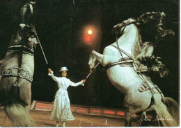 LE CIRQUE Benneweis (Copenhague). Chevaux - Diana Benneweis Et Ses Lippizans. Sylvie Mercier - Chevaux