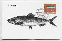 GERMANY BUNDESPOT 10C CARTE MAXIMUM POISSON HARENG 1964 - 1961-1980