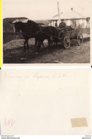 Moldova, Basarabia, Romania ,Roumanie- Lipcani, Briceni -photo Military, WWII, WK2 - Moldavië