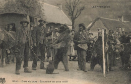 Ours Du Pays * Montreur D'ours * Excursion Au Pays Natal * Les Pyrénées * Romanichels Roulotte Gitans Gitanos - Osos