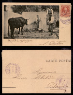 Regno - Annullamenti - Piroscafo Postale Letimbro 19.10.01 (viola) - Cartolina Da Creta A Palermo - Otros & Sin Clasificación