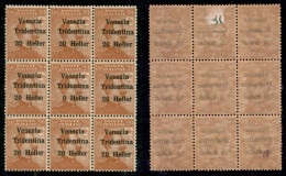 Occupazioni I Guerra Mondiale - Trentino-Alto Adige - 1918 - 20 Heller Su 20 Cent (30) - Blocco Di 9 Con Errori 30d + 30 - Sonstige & Ohne Zuordnung