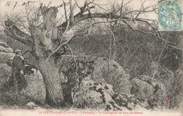 FRANCE - La Ferte Alais - L'Ardennay - Le Châtaignier Du Parc Aux Bœufs - Carte Postale Ancienne - La Ferte Alais