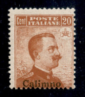 Colonie - Egeo - Calino - 1917 - 20 Cent Michetti (9) - Gomma Integra - Ben Centrato (350/700) - Altri & Non Classificati