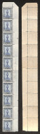 Colonie - Libia - 1924 - 25 Cent Pittorica (49zg) - Striscia Angolare Di Dieci (nove Filigrana Lettere 12/10) - Gomma In - Altri & Non Classificati