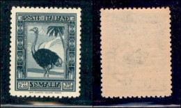 Colonie - Somalia - 1932 - 2,55 Lire Pittorica (180) - Gomma Integra - Ottimamente Centrato (700) - Altri & Non Classificati