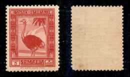 Colonie - Somalia - 1932 - 5 Lire Pittorica (181) - Gomma Integra - Ottimamente Centrato (450) - Sonstige & Ohne Zuordnung