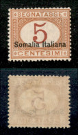 Colonie - Somalia - 1920 - 5 Cent (23) - Gomma Originale - Ben Centrato (250/500) - Otros & Sin Clasificación