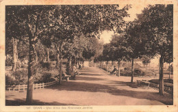 ALGERIE - Oran - Une Allée Des Nouveaux Jardins - Carte Postale Ancienne - Oran