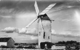 Trescalan , La Turballe * Moulin De Kerbrouée * Moulin à Vent Molen - La Turballe