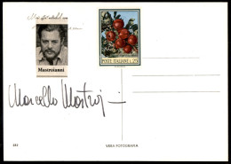 AUTOGRAFI - Mastroianni Marcello (attore) - Autografo (F - C) Su Cartolina - Andere & Zonder Classificatie