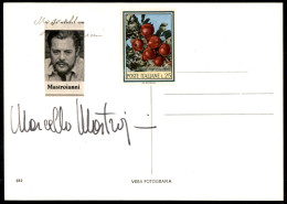 AUTOGRAFI - Mastroianni Marcello (attore) - Autografo (F - C) Su Cartolina - Autres & Non Classés