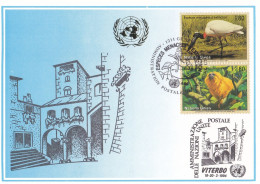 Nations Unies Genève. Carte Postale 1994 YT 266 268 1er Jour - Cartes-maximum
