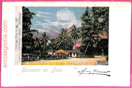 Af8879 - INDONESIA - Vintage POSTCARD - Java - Indonésie