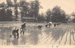 CPA JAPON / TRANSPLANTING RICE SHOOTS - Sonstige & Ohne Zuordnung