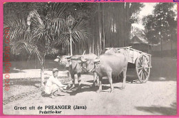 Af8888 - INDONESIA - Vintage POSTCARD - Java - Indonésie