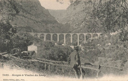 FRANCE - Le Loup - Gorges Et Viaduc Du Loup - Carte Postale Ancienne - Other & Unclassified