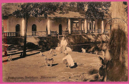 Af8892 - INDONESIA - Vintage POSTCARD - Budplaats "Blauwwater" - 1914 - Indonésie