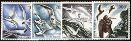 ** 1955, Seevögel, Komplette Serie 4 Werte Gez. 11, Postfrisch, Mi. 502-505A / 420,- - Autres & Non Classés