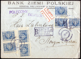 Cover 1924, Inflationsperiode 1.4.-15.4.1924, Reko-Expressbrief Vom 3.4.1924 Von Lwow (Lemberg) Nach Nowym Saczu, Franki - Autres & Non Classés